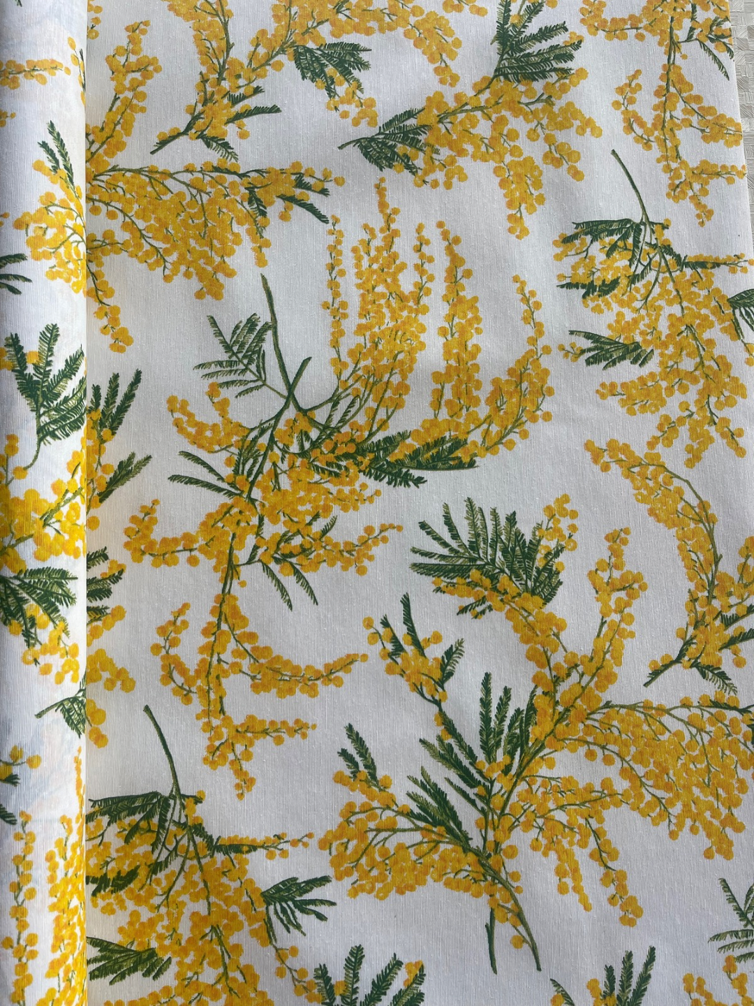 Otros Diseños - Mimosas